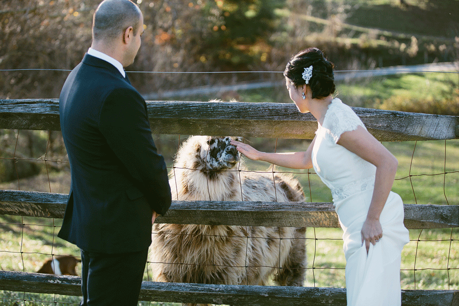 Claxton-Farm-Wedding_Jeremy-Russell-Photography.png