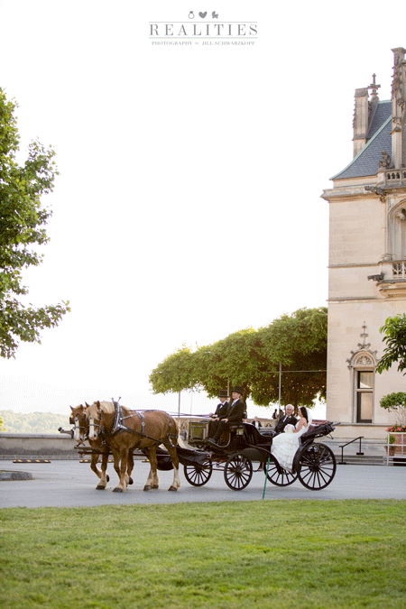 RealitiesPhotography_Front-Lawn-Biltmore-Wedding.png