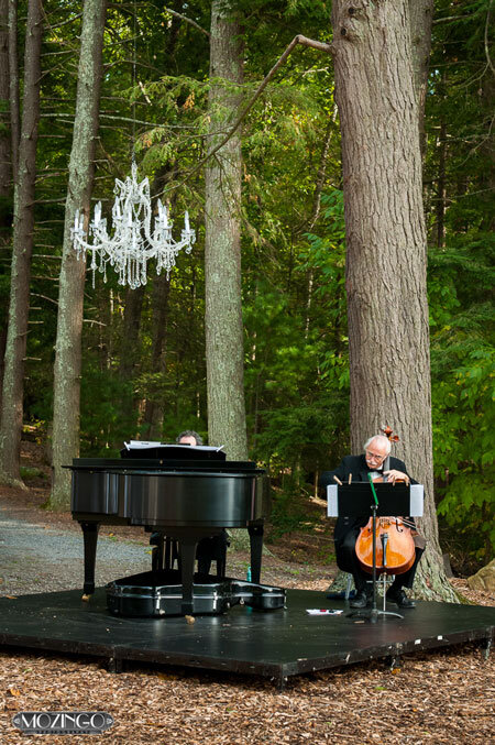 Biltmore_Weddings_Diana-Grand-Piano-Chandelier-under-Tree.jpeg