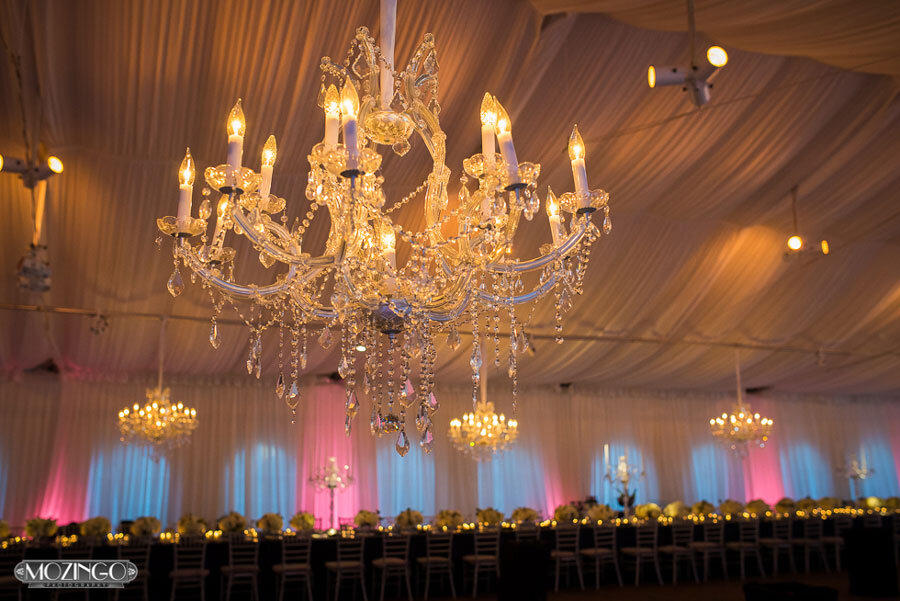 Biltmore_Weddings_Diana-Chandelier-Tent-Reception-Up-Lighting-Asheville-Event-Co.jpeg