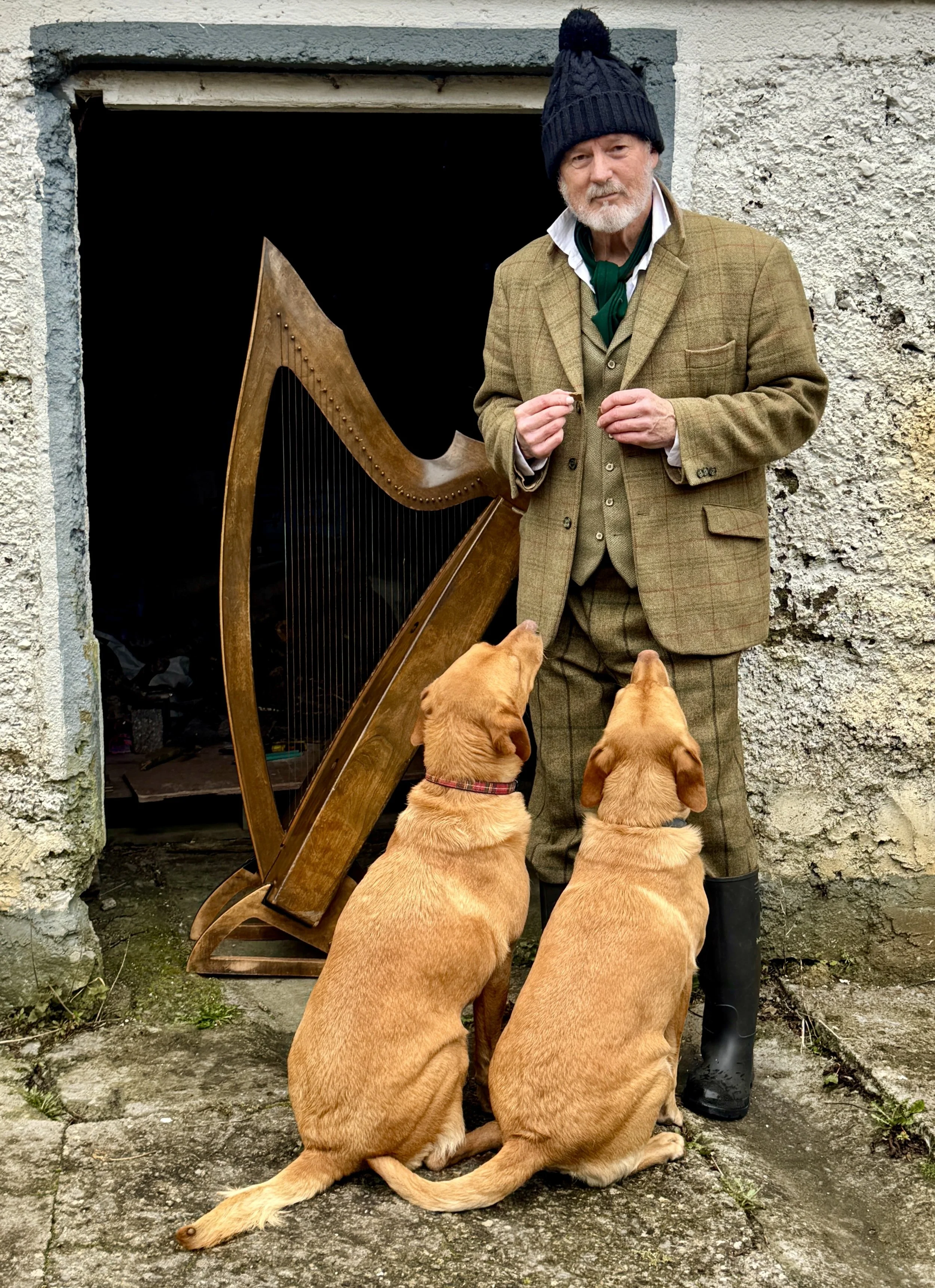 Patrick Ball: Celtic Harp & Story