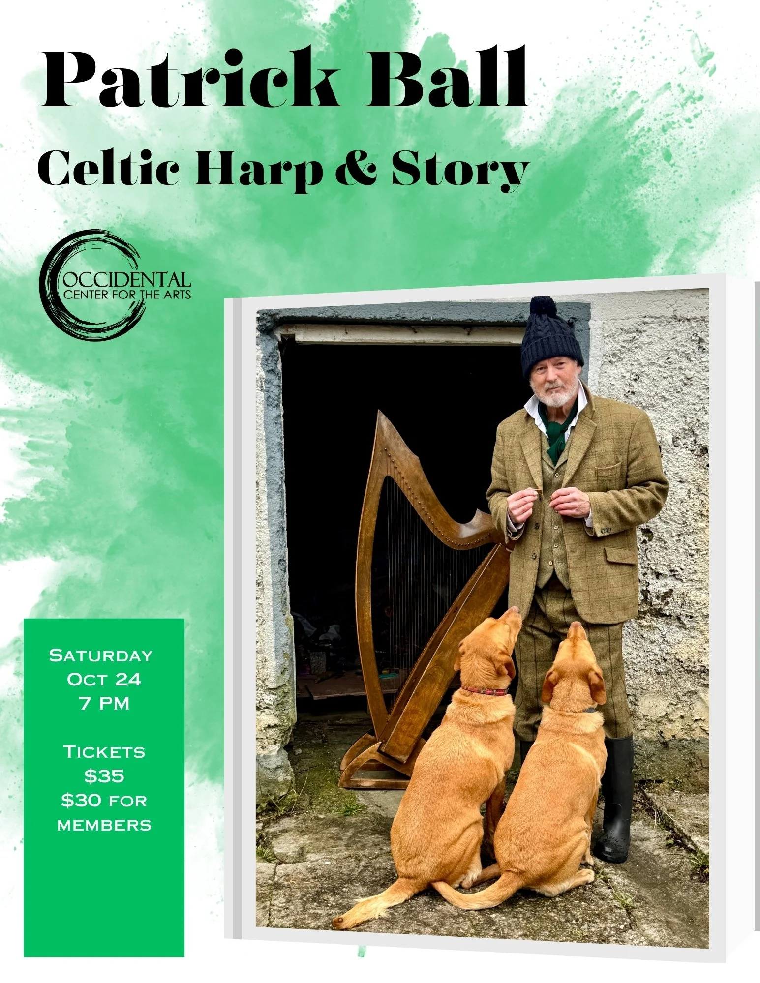 Patrick Ball Celtic Harp & Story.jpg