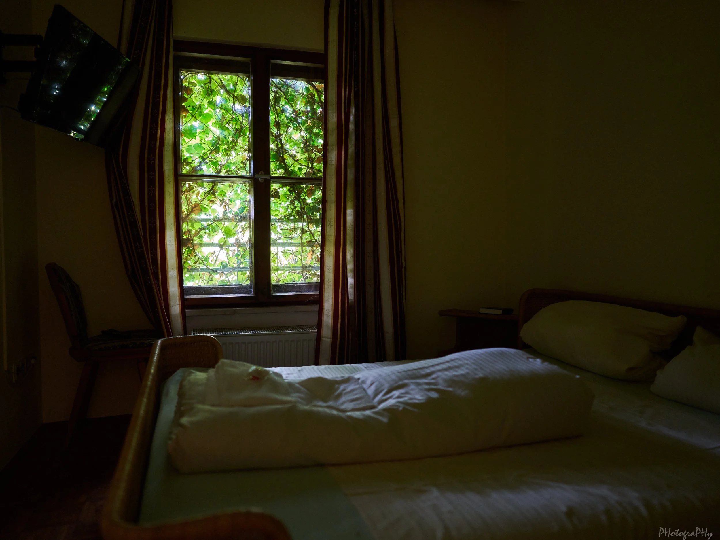DSC07438.jpg
