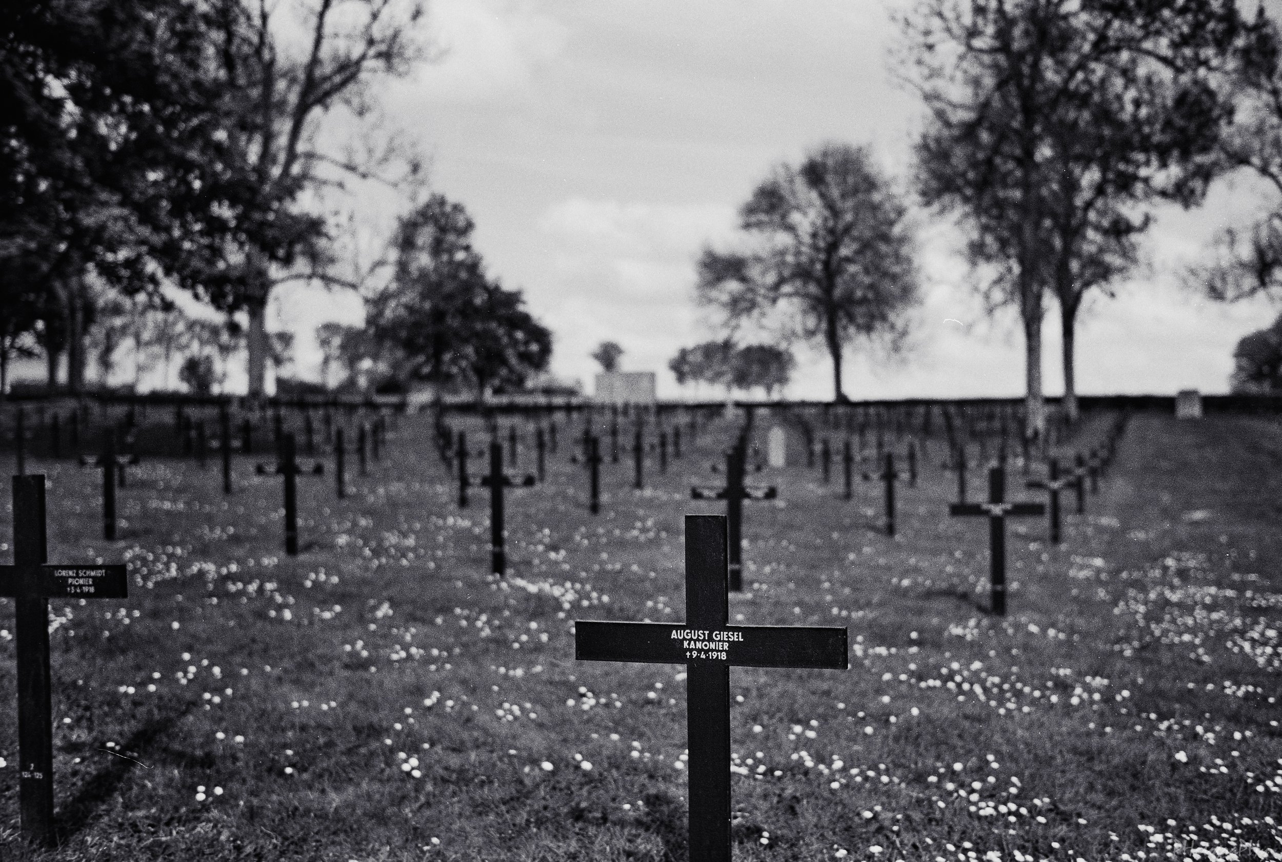 Westfront_Acros_II_Leica_M4_54.jpg