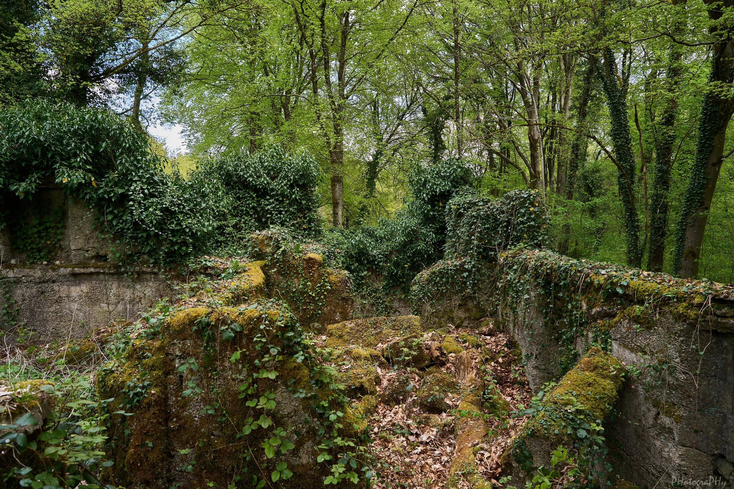 DSC00416.jpg
