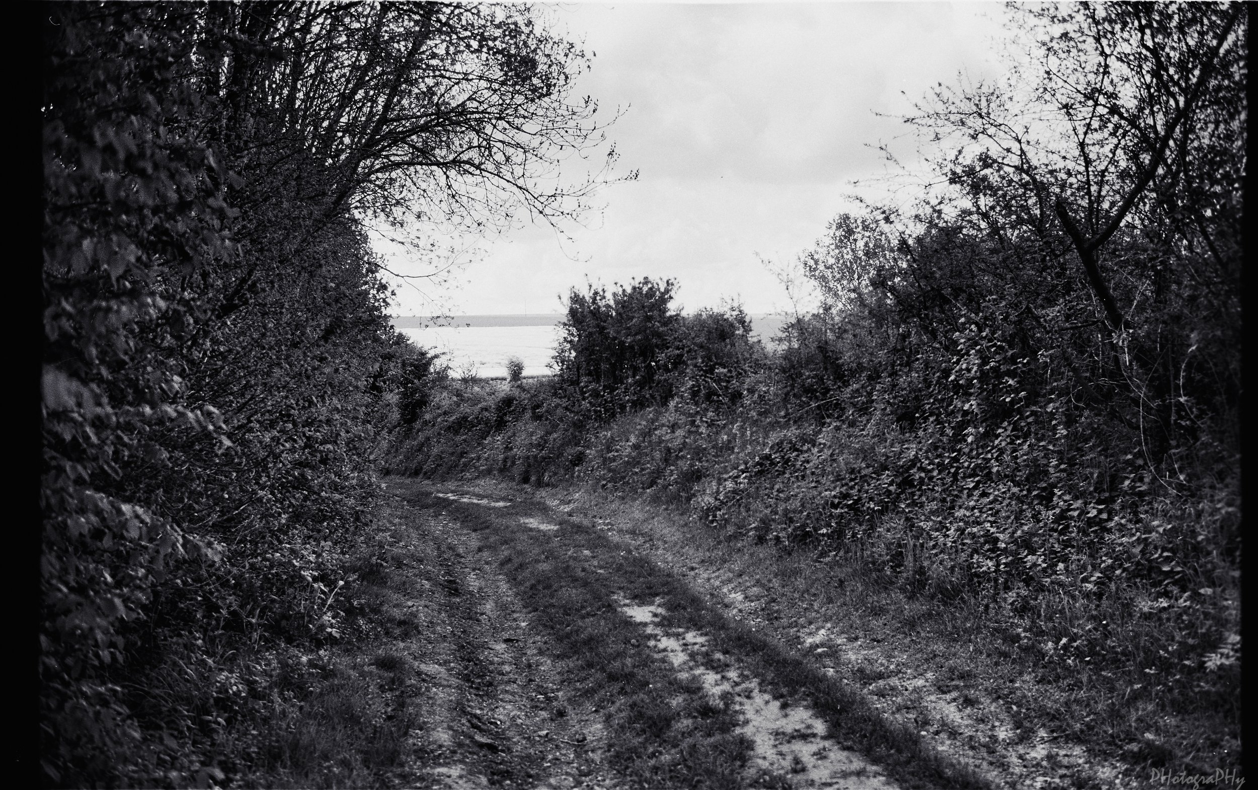 Westfront_Acros_II_Leica_M4_38.jpg