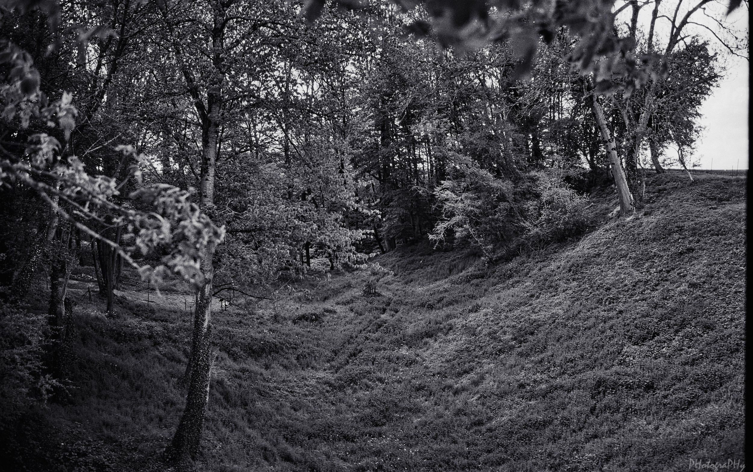 Westfront_Acros_II_Leica_M4_43.jpg