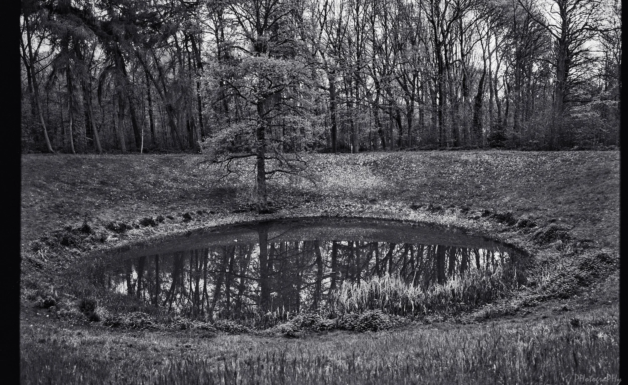 Westfront_Acros_II_Leica_M4_35.jpg