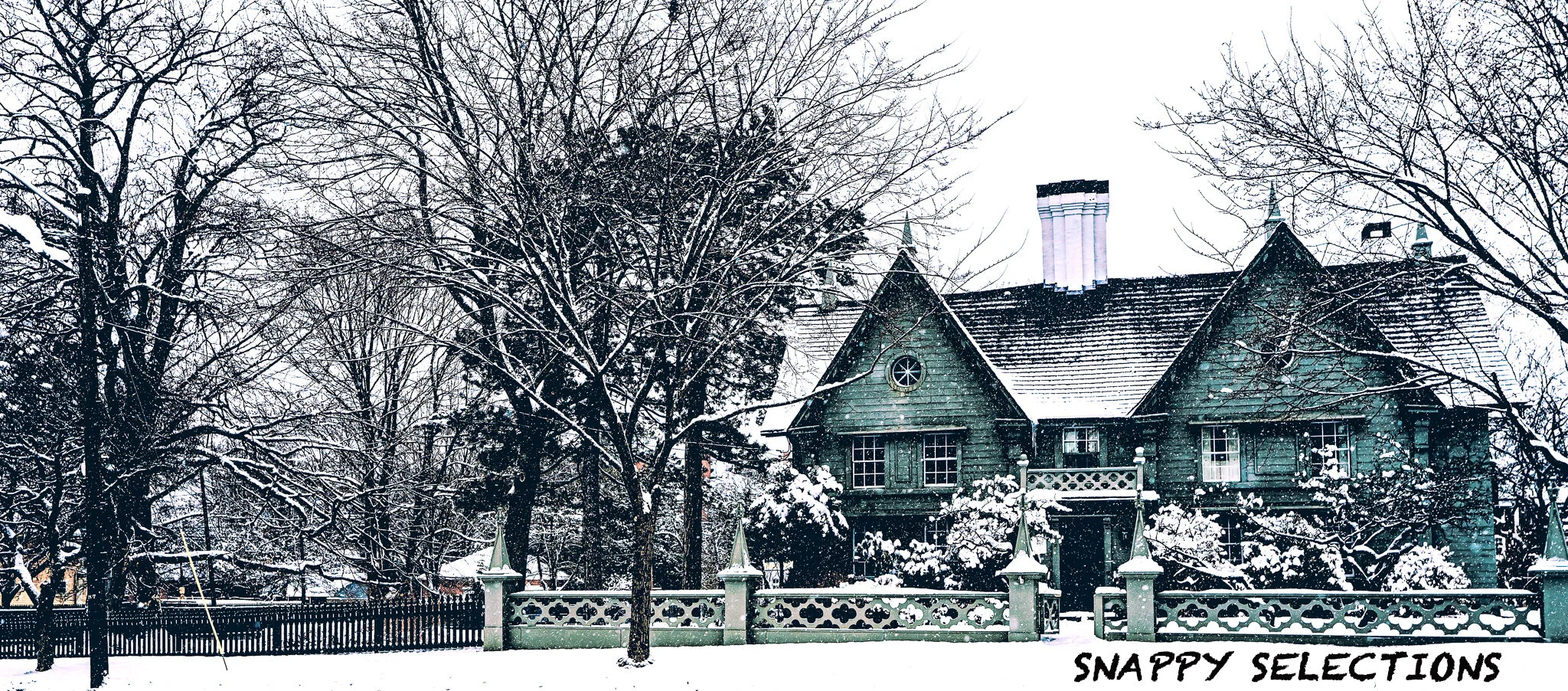 _DSC8789-2 copy-2.jpg