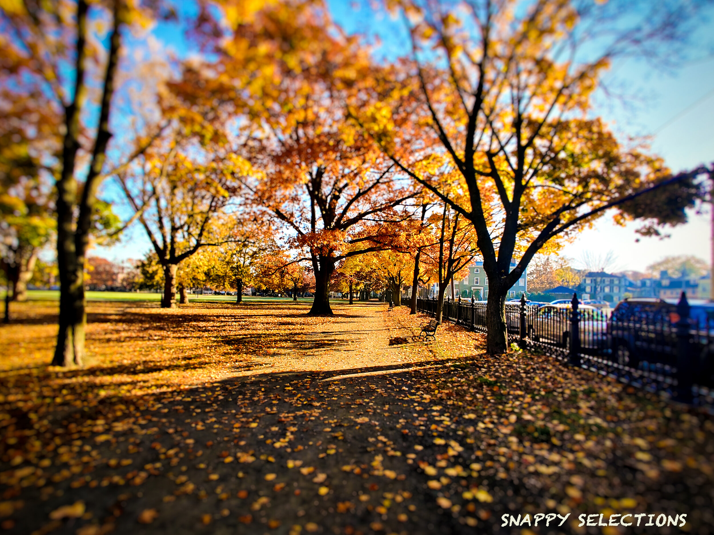 IMG_20201109_083308-01 copy.jpg