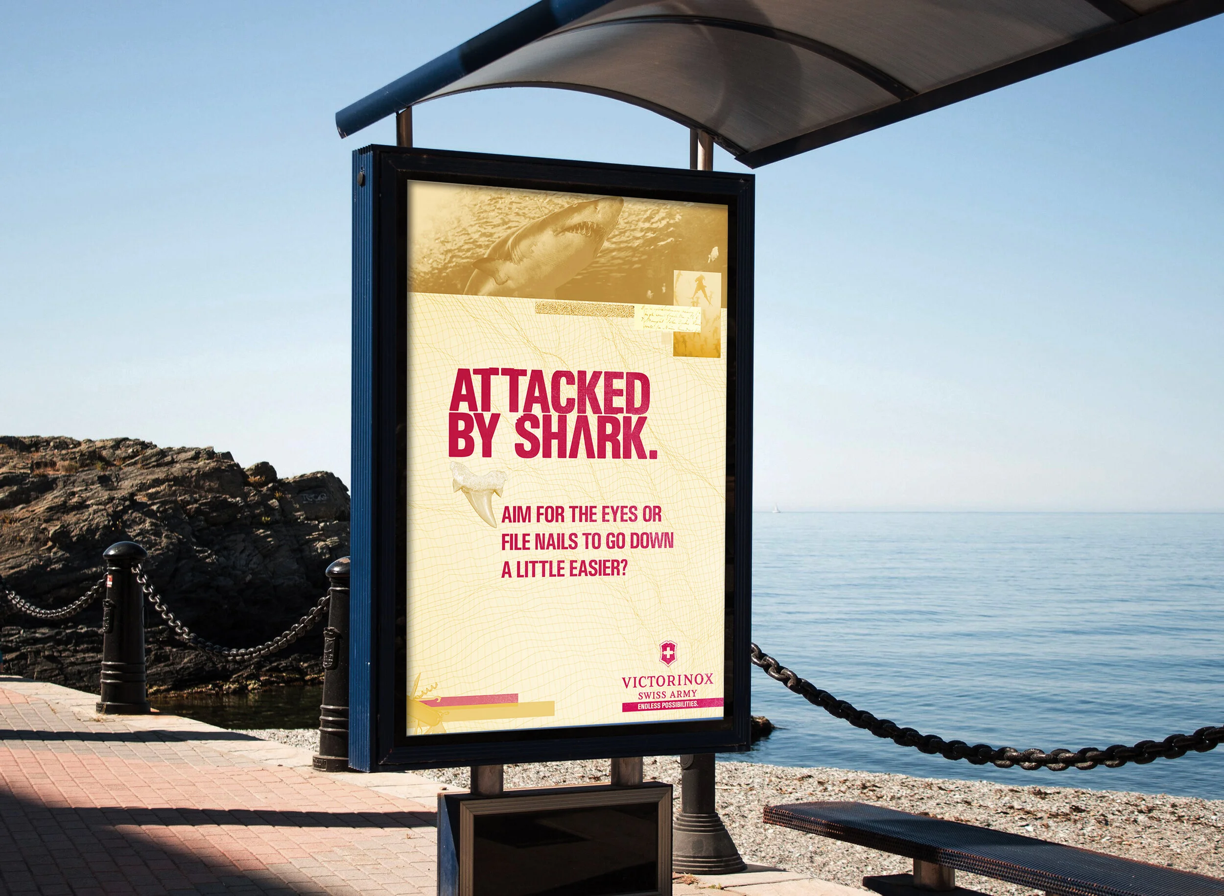 shark mock (1).jpg