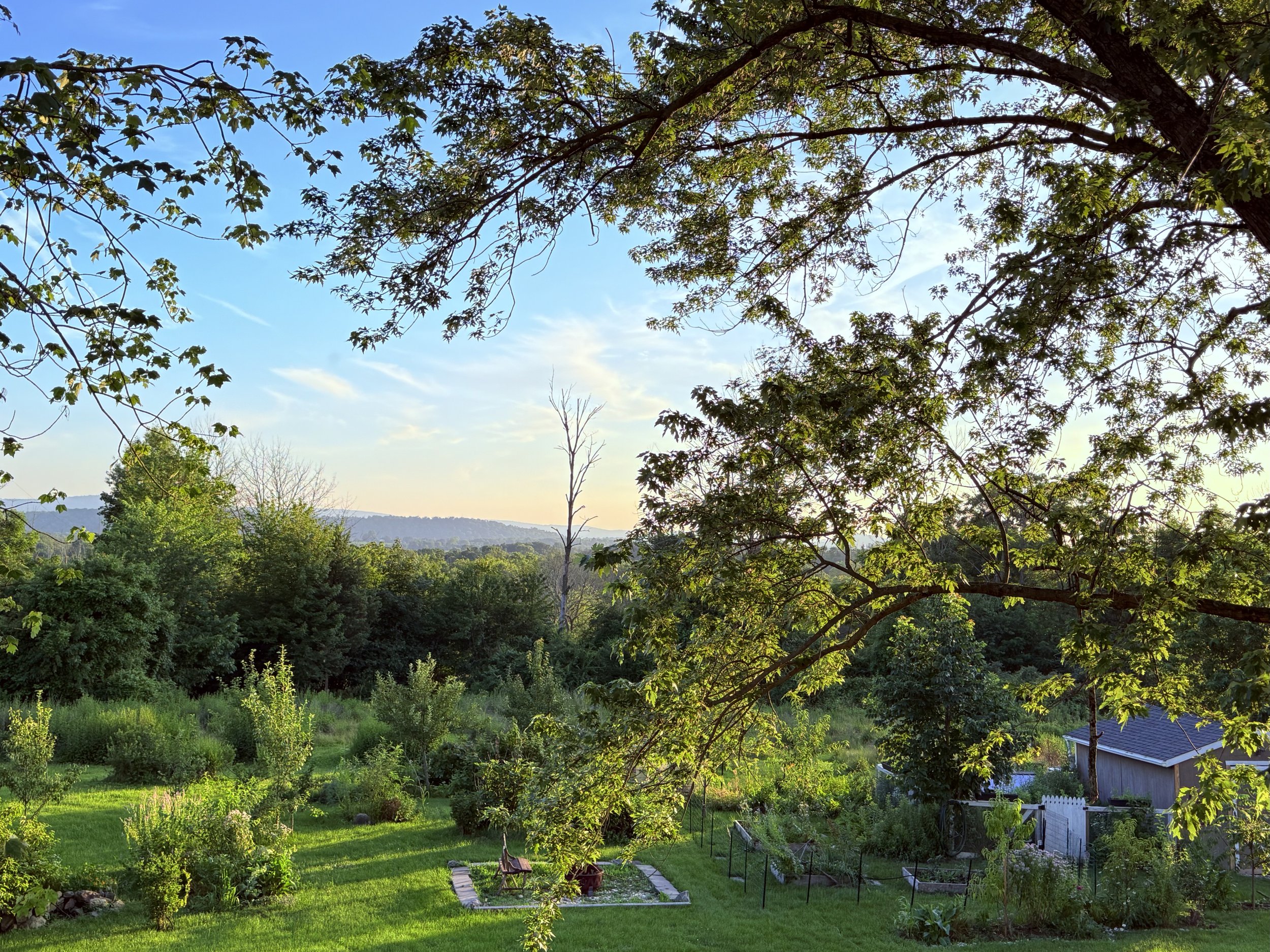 Permaculture and Natural Farming: Theory and Practice