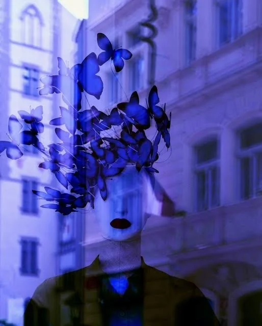 Les Papillons made from.jpg