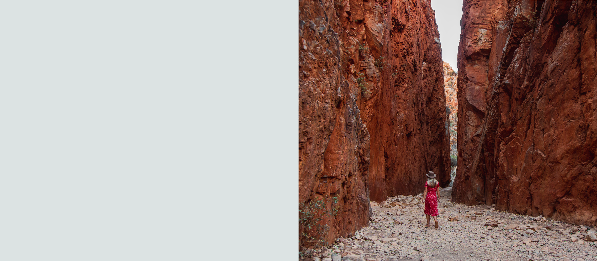 Sara Rowe Banners 32.png