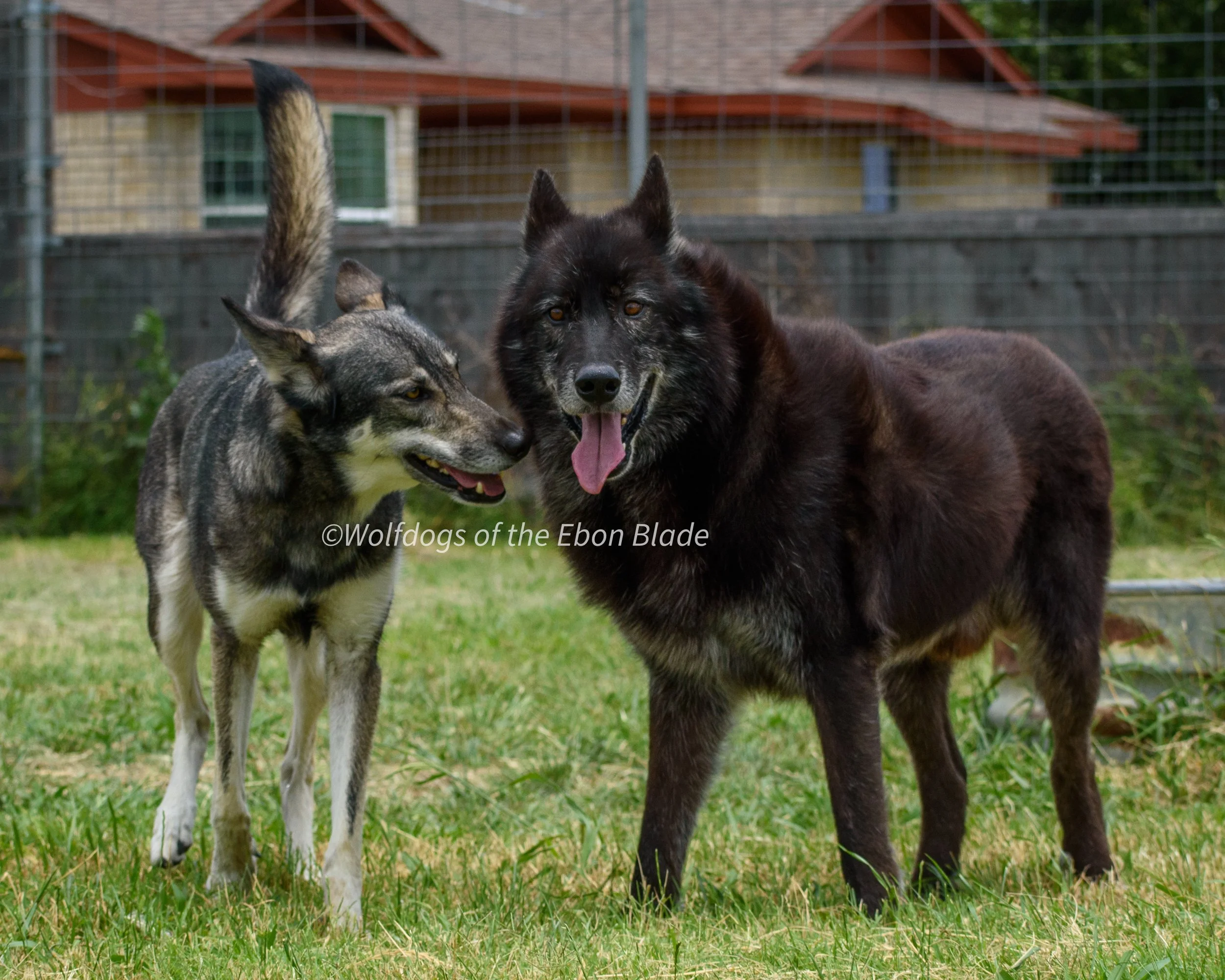 DSC_0053.jpg
