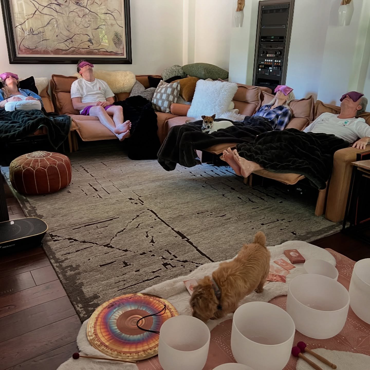 Your furry friends are always welcome during your sound bath! Typically they really enjoy it and if it turns out it&rsquo;s not for them they will simply walk away into a different room. I&rsquo;ve seen a little bit of both responses with dogs and ev