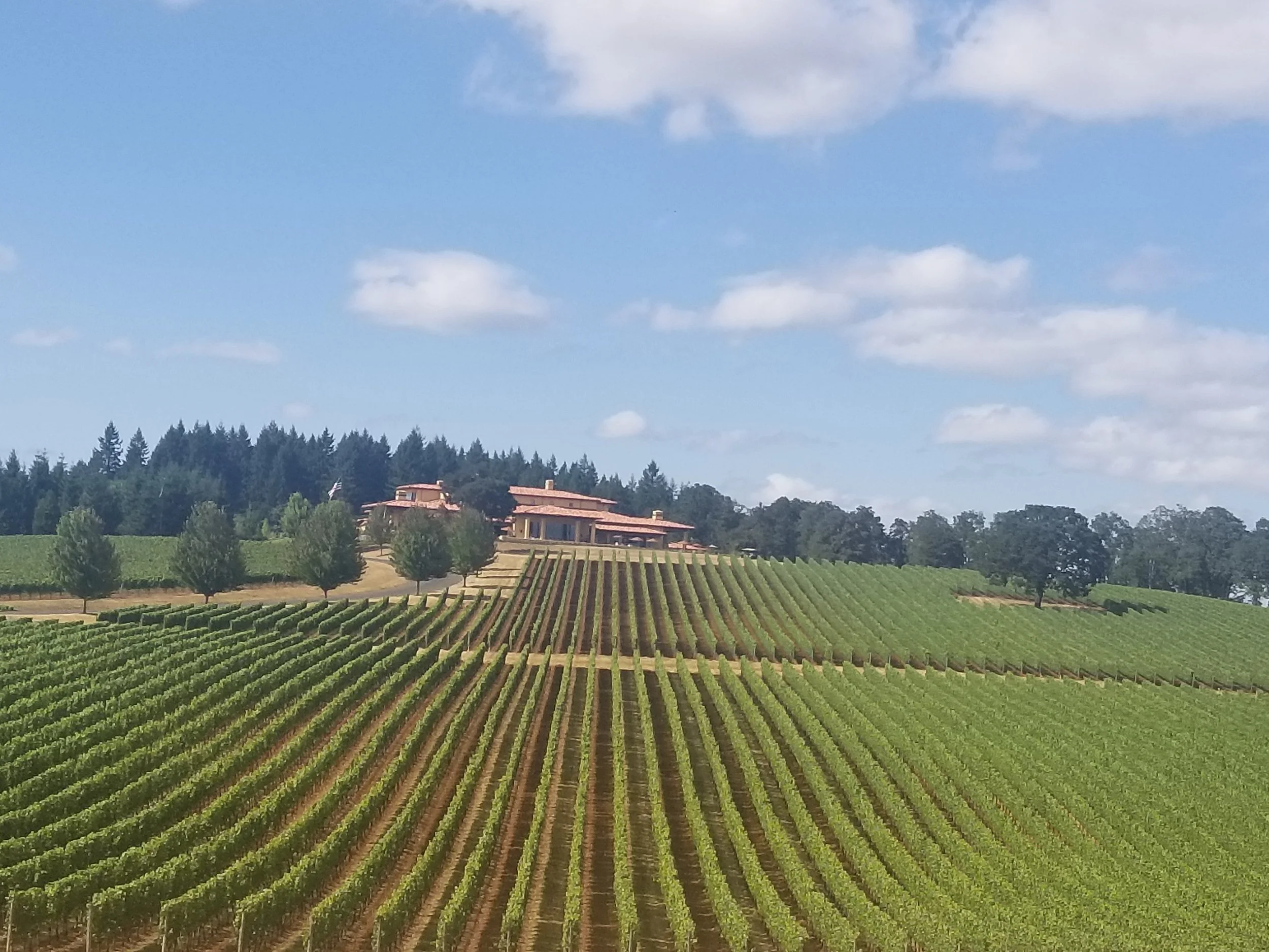 Where to stay in Willamette Valley Wine Country