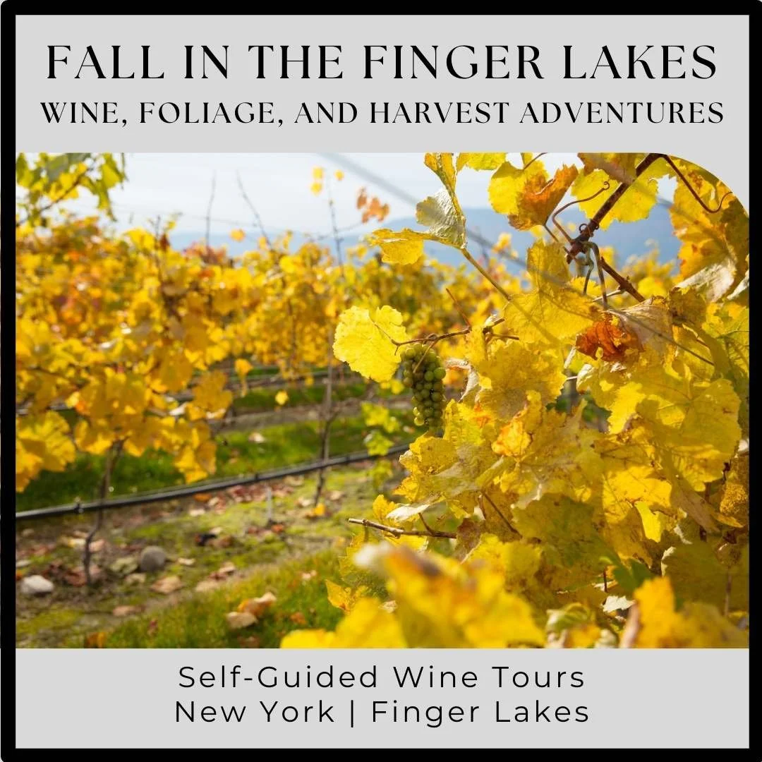 Fall in the Finger Lakes: Wine, Foliage, and Harvest Adventures
