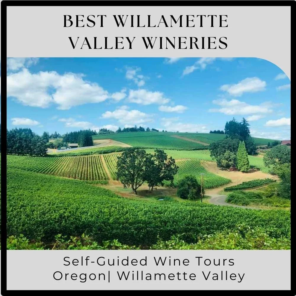 Best Willamette Valley Wineries