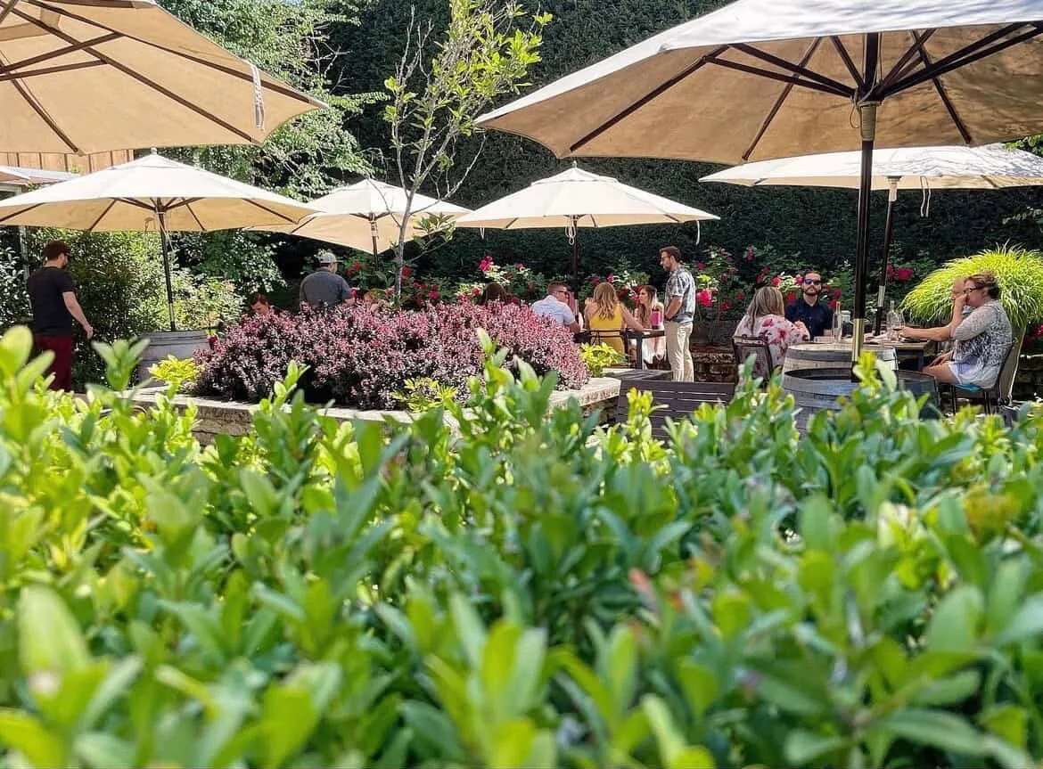 Carlton Winemakers Studio Willamette Valley