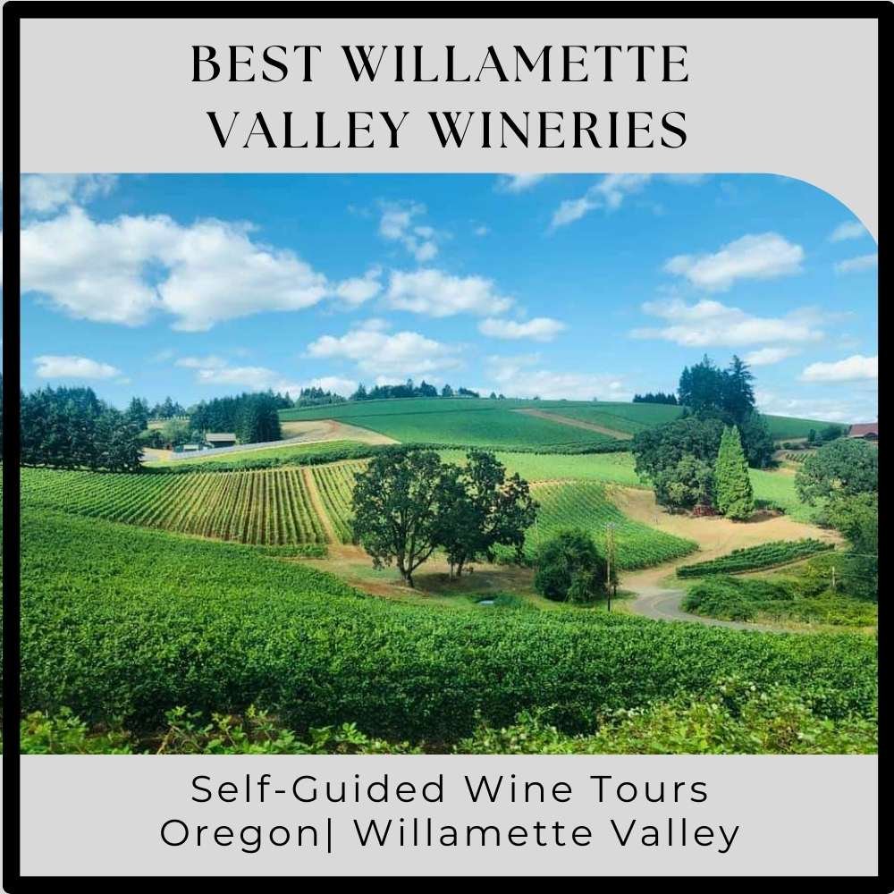 Best Willamette Valley Wineries