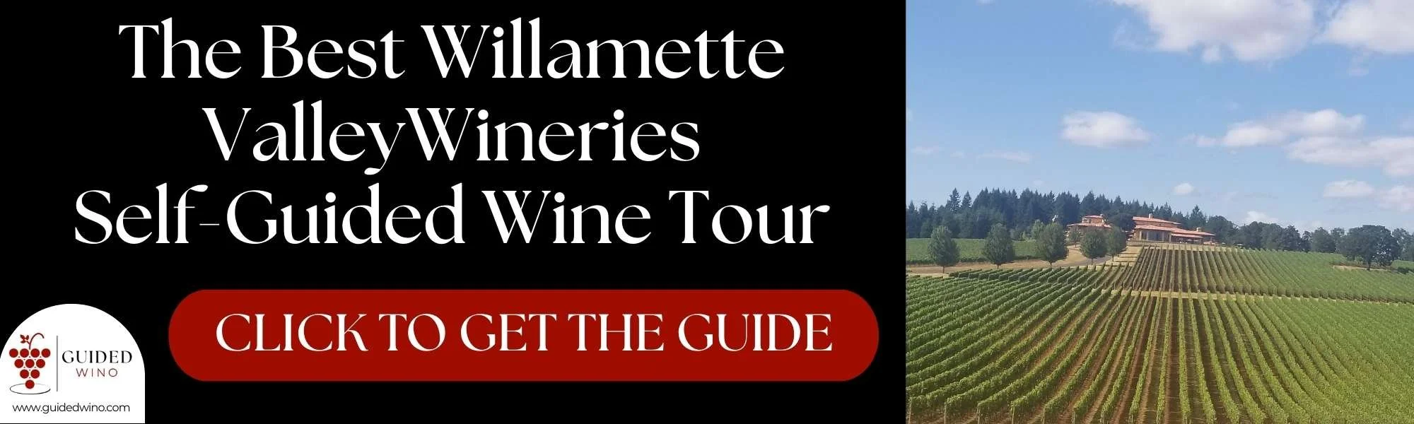 Best Willamette Wine Tour Companies
