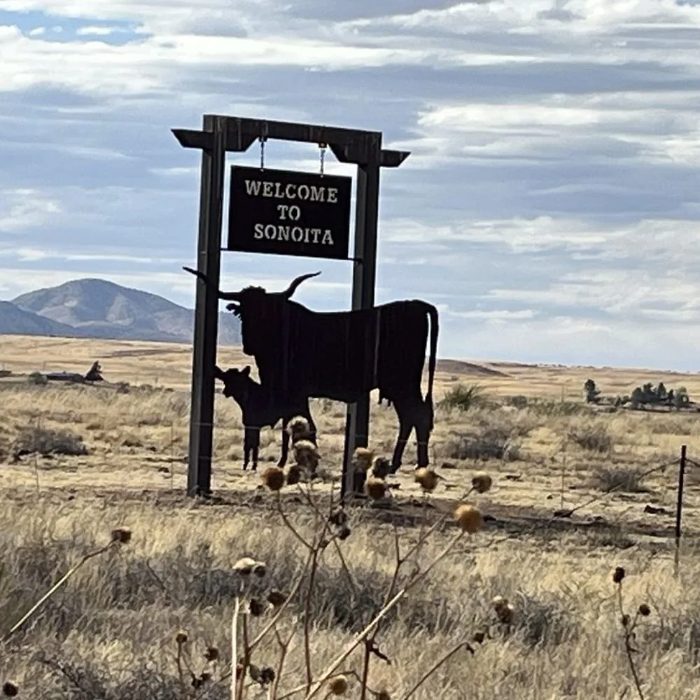 sonoita wine country