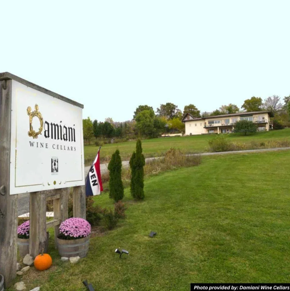 Damiani Wine Cellars - Best Finger Lakes Wineries
