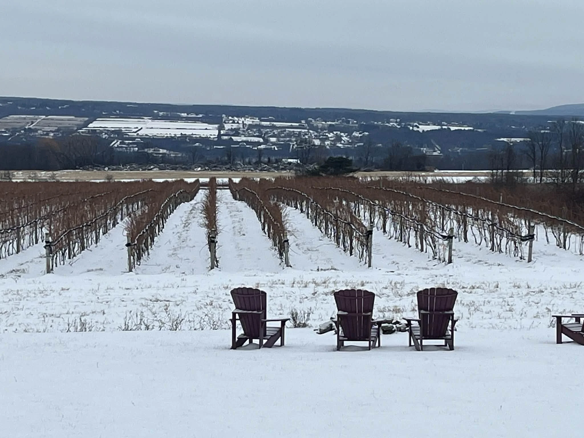 snowy vineyard views at Bet the Farm Winery
