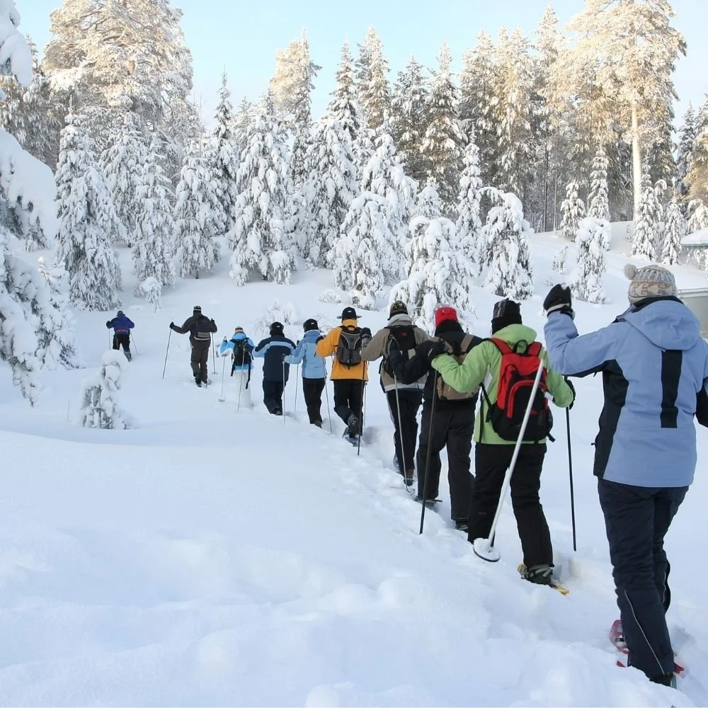 Finger Lakes Snow Shoeing
