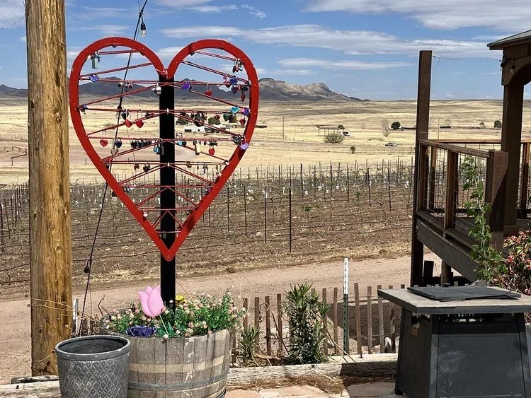 Arizona Hops and Vines