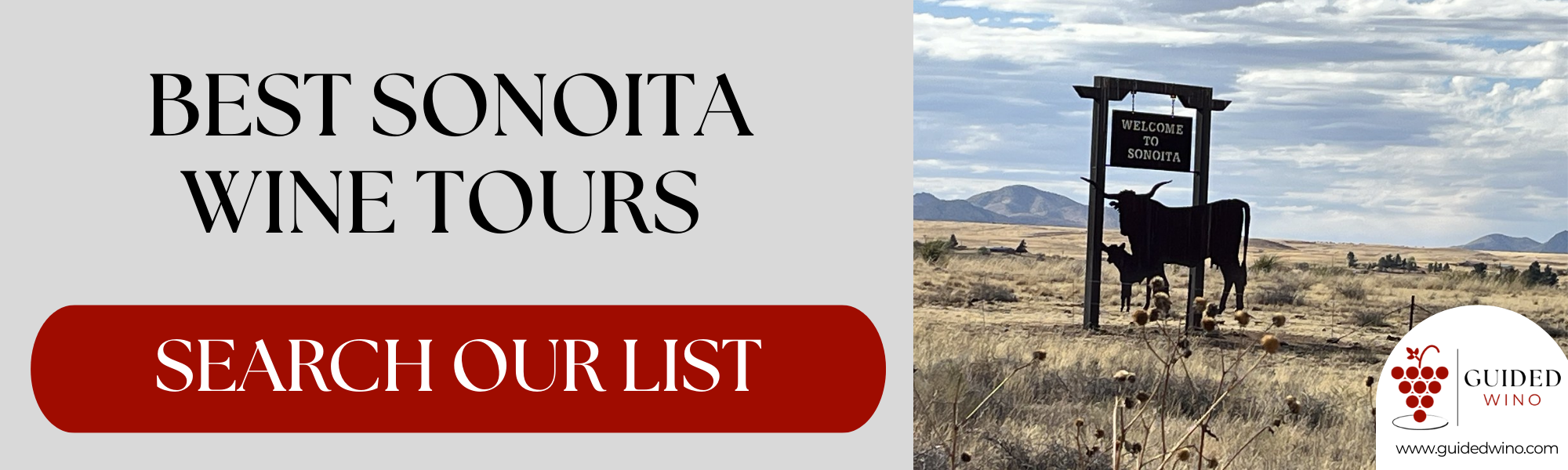 Best Sonoita Wine Tour Companies