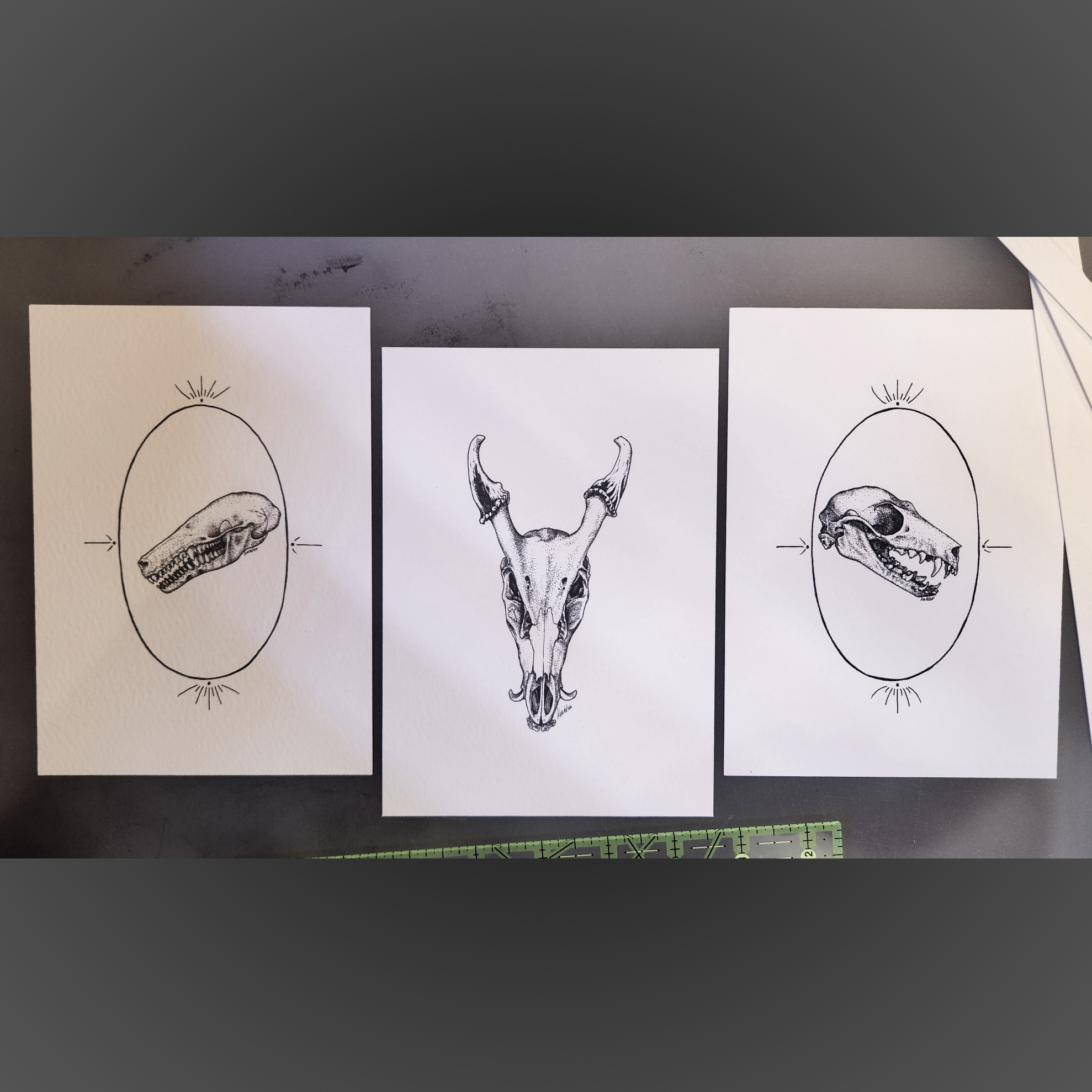 Set Of Three Stippled Skulls - Giclee Prints