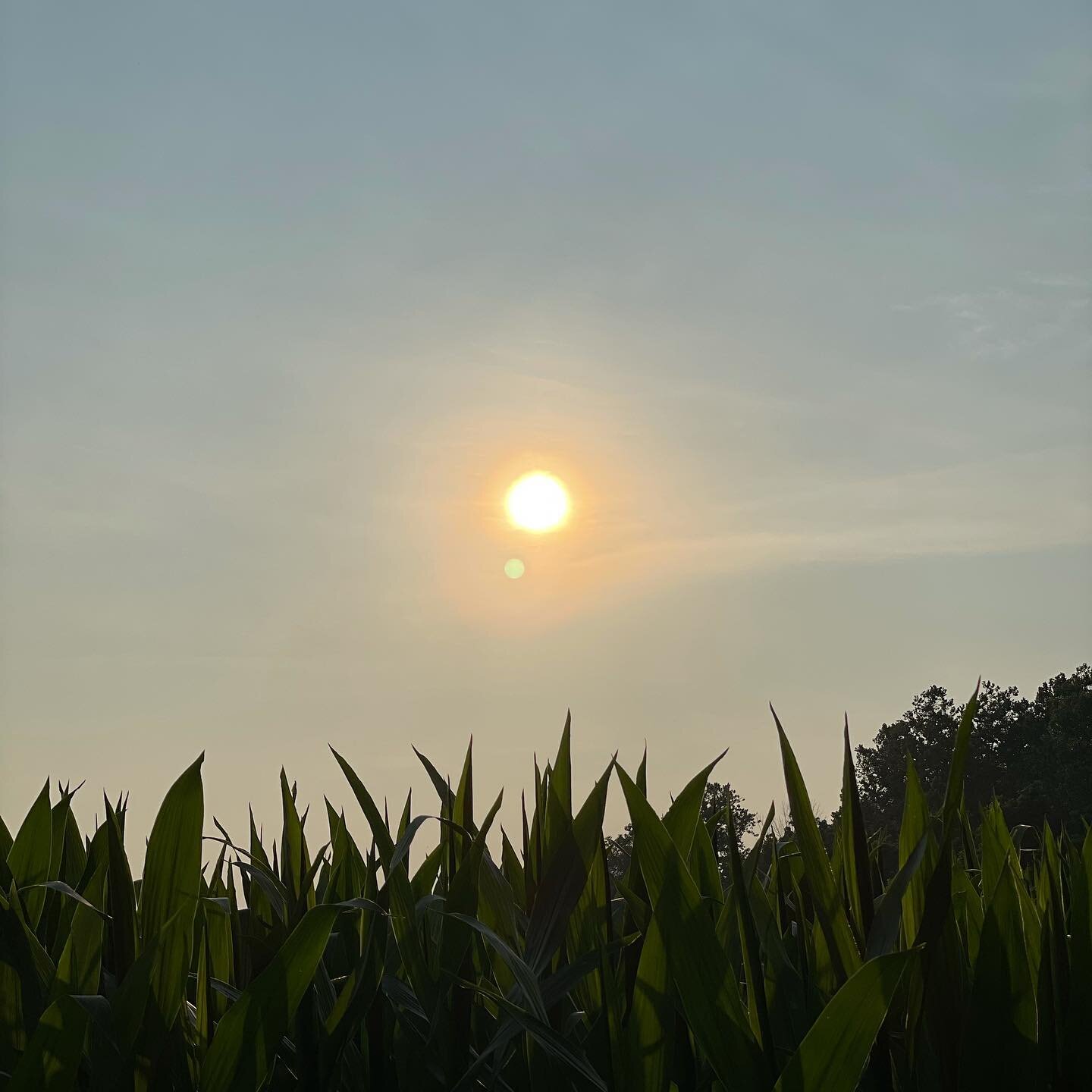Indiana cornfields. 🌽 
Indiana sunsets. ☀️ 
Indiana home. 😍