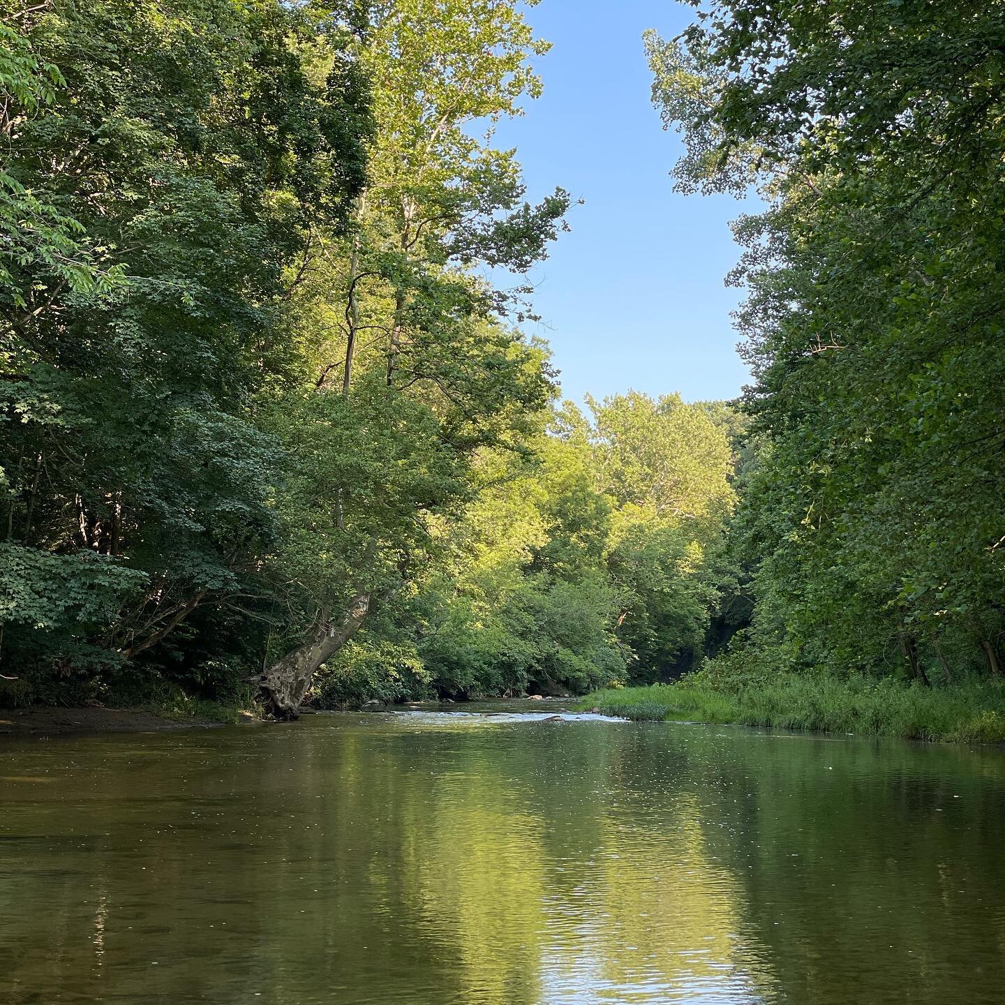 Sunday evening creek time.