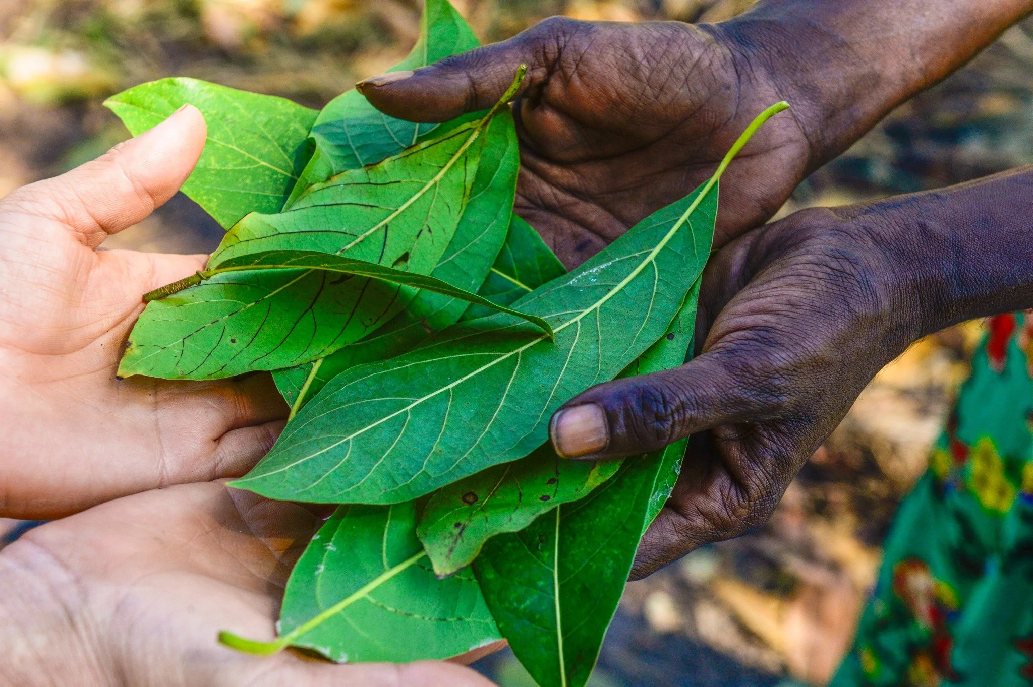 ARDS is unique, and our CEO will be too, but we haven&rsquo;t found the right person yet. 
After 4 interviews the ARDS Board of Directors was unable to find the right person this time. The board has asked David Alexander to continue as the interim CE