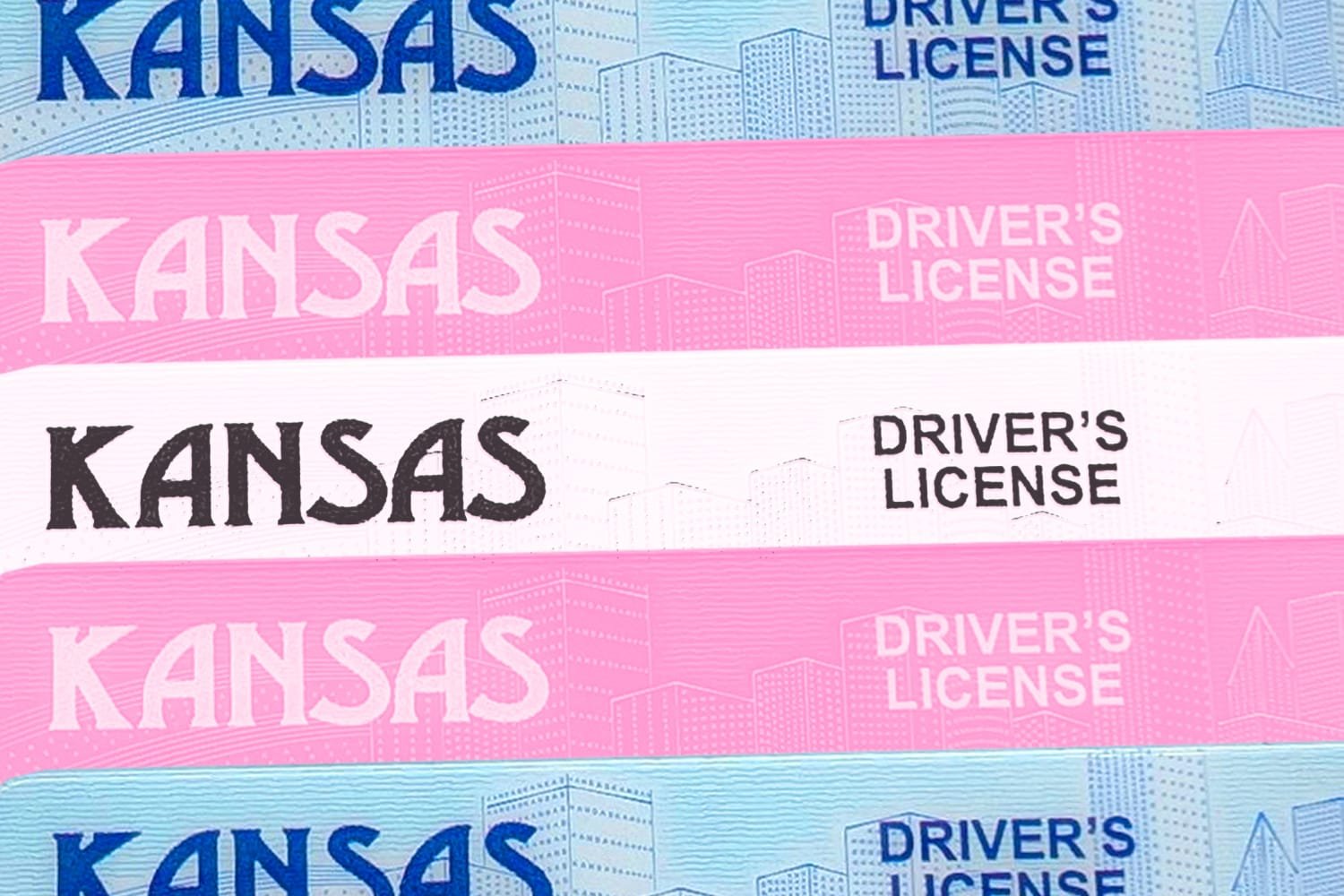 260310-kansas-trans-licenses-jg-6201ad.jpg