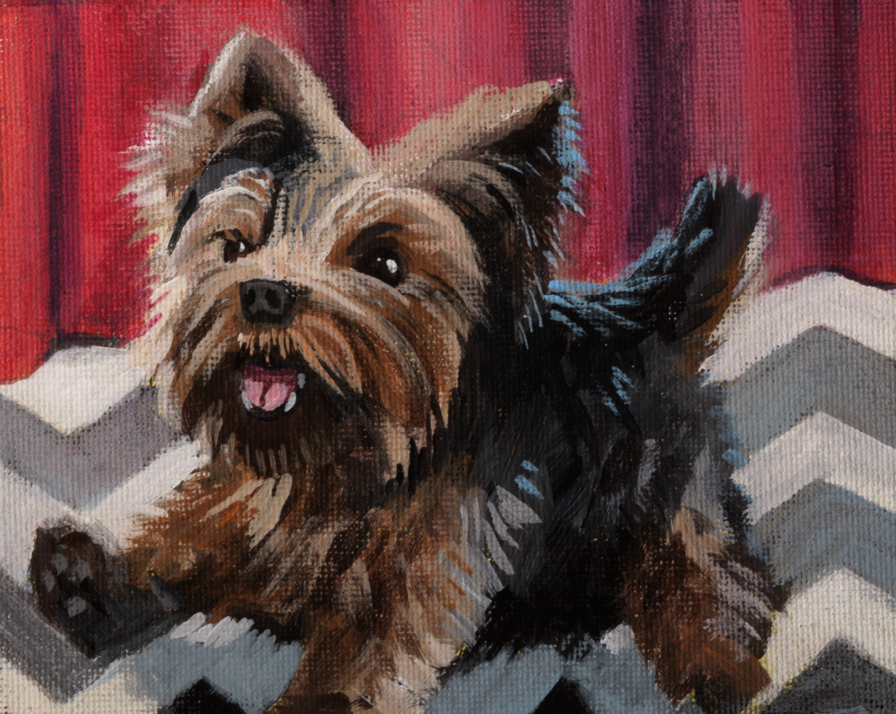 #33 "Lodge Yorkie"