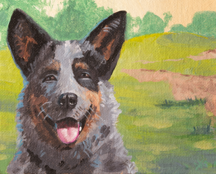 #31 "Blue Heeler"