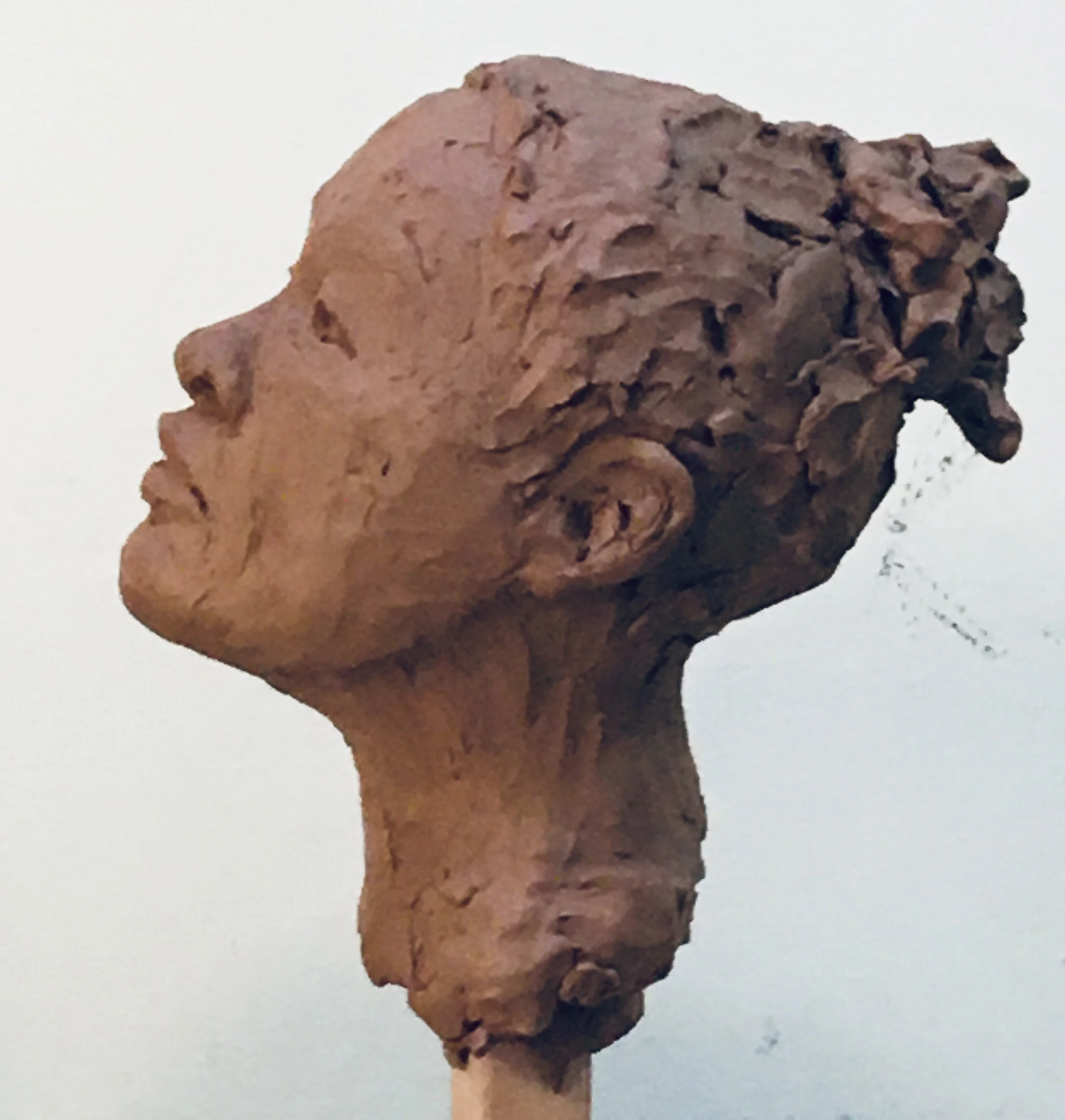 study of female- unfired