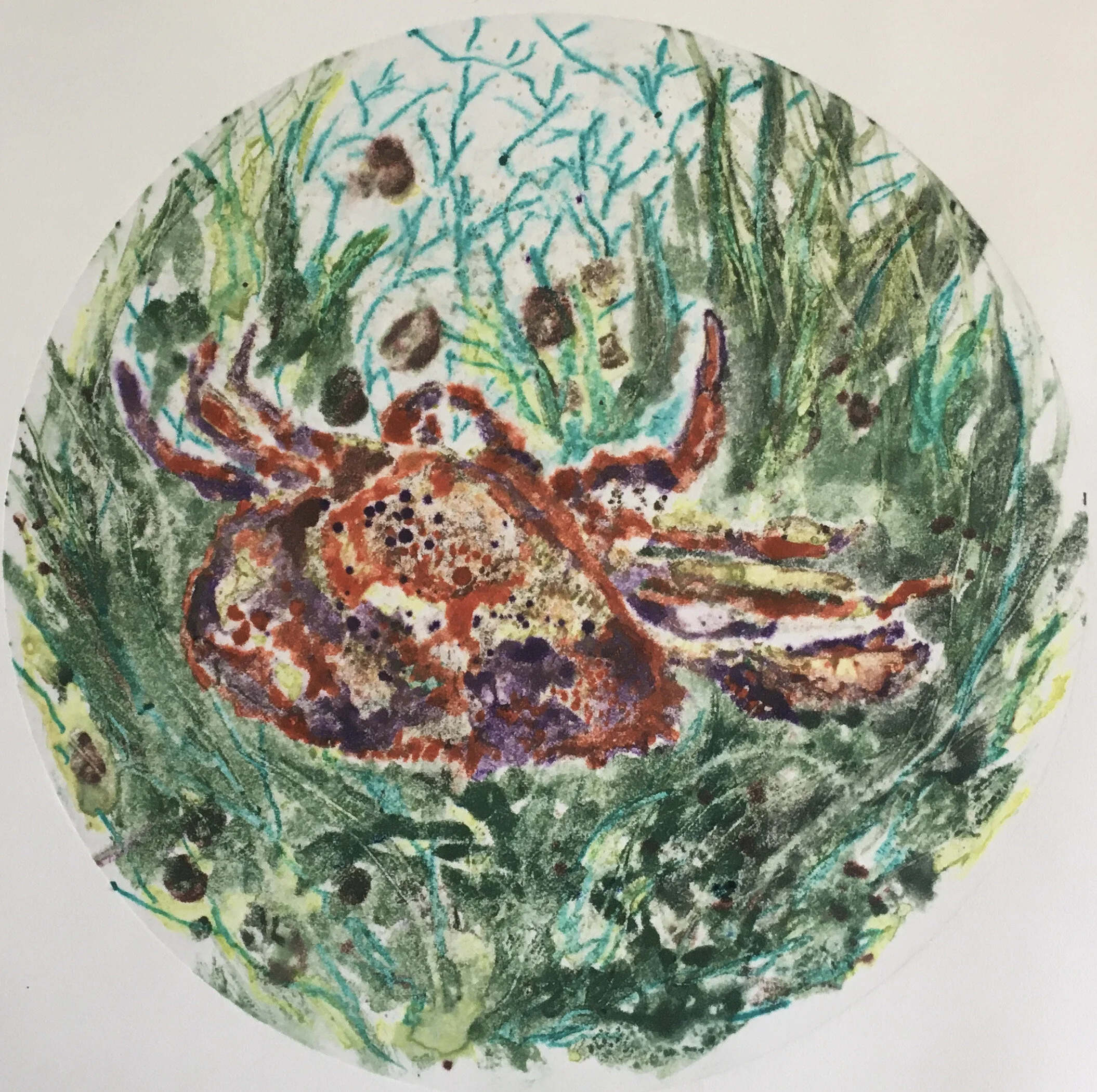 Watercolor monotype- image 8" 