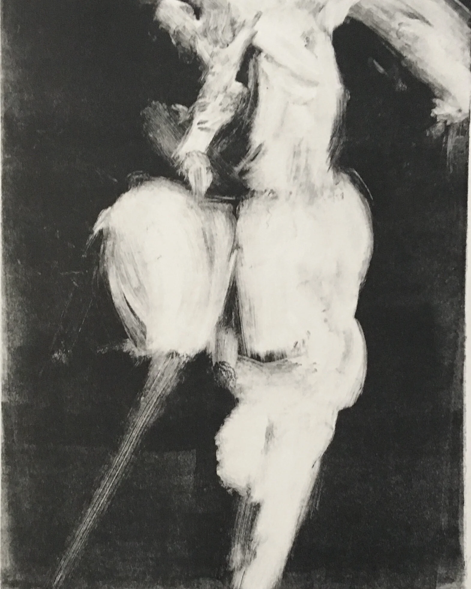 Monotype-image  8" x 10"