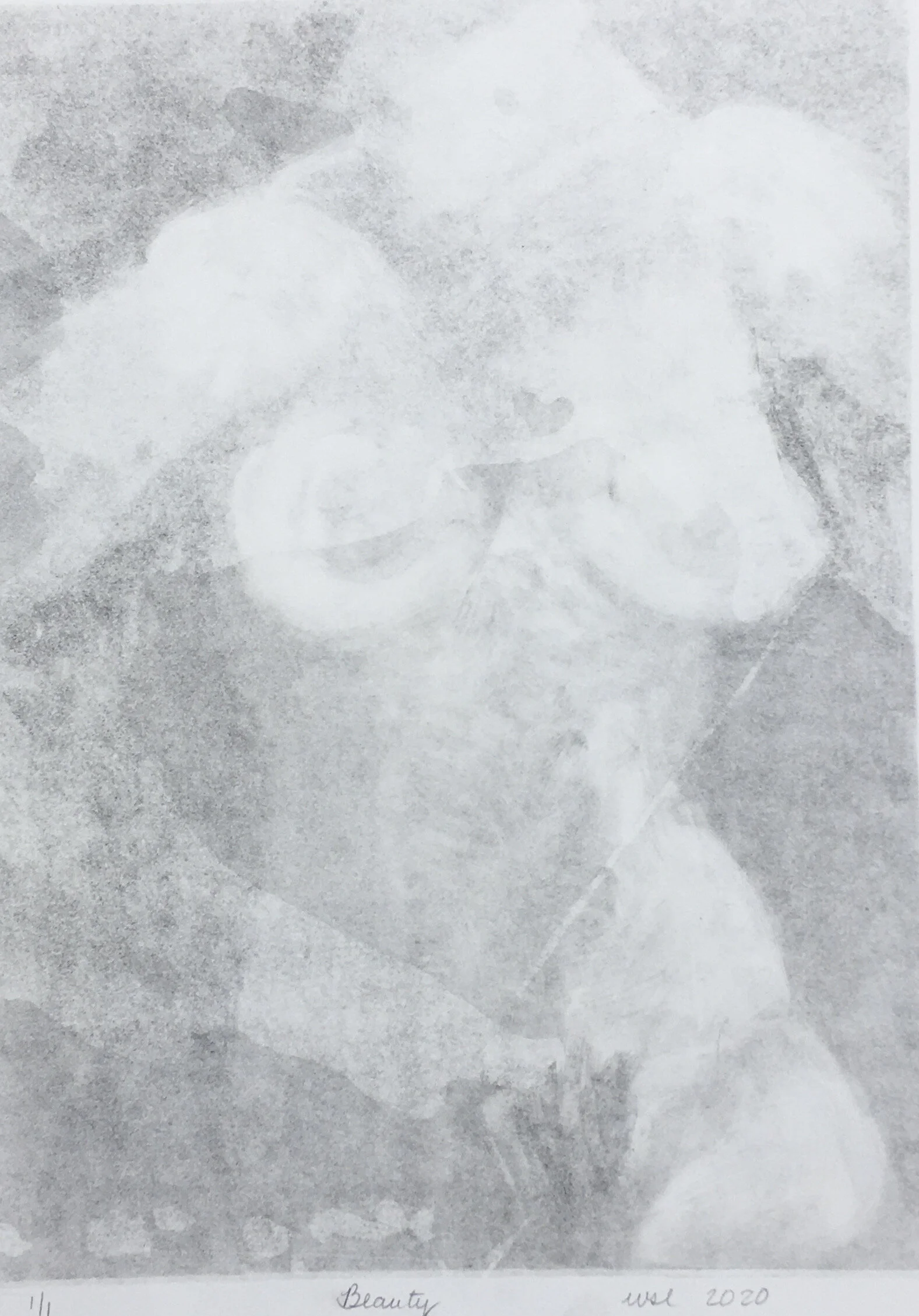 Monotype- image 8" x 10"