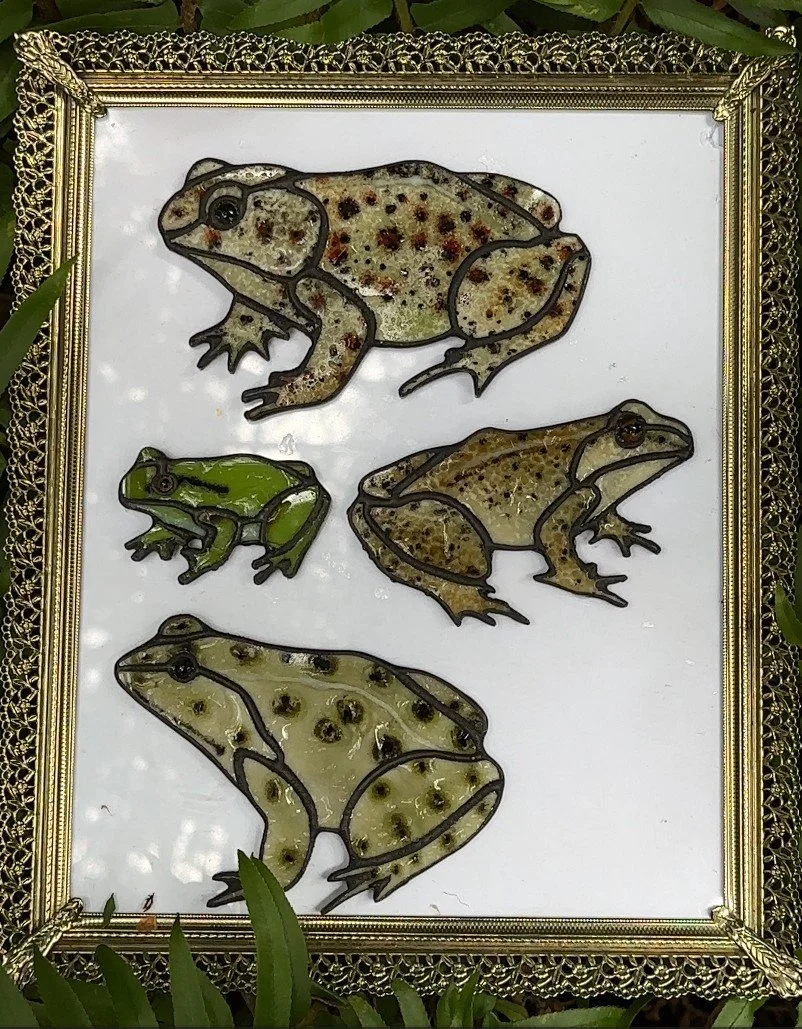 All Frogs.jpg