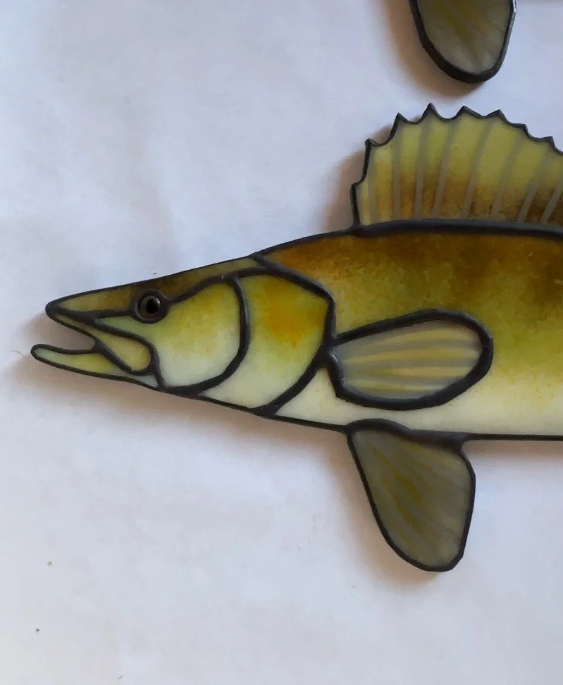Walleye_2.jpg