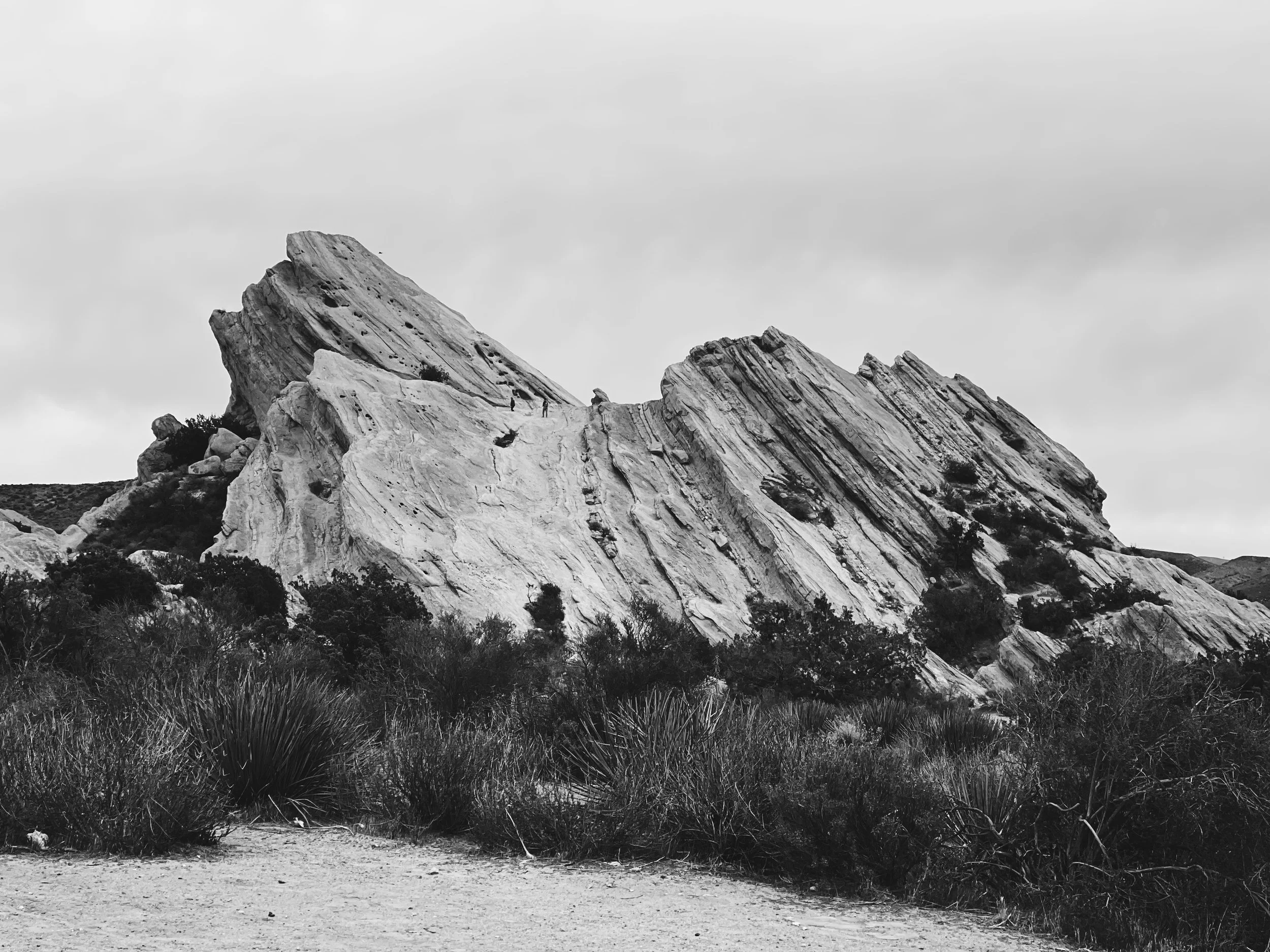 IMG_4033.jpg