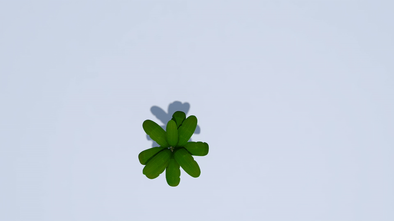 ezgif.com-gif-maker (58).gif