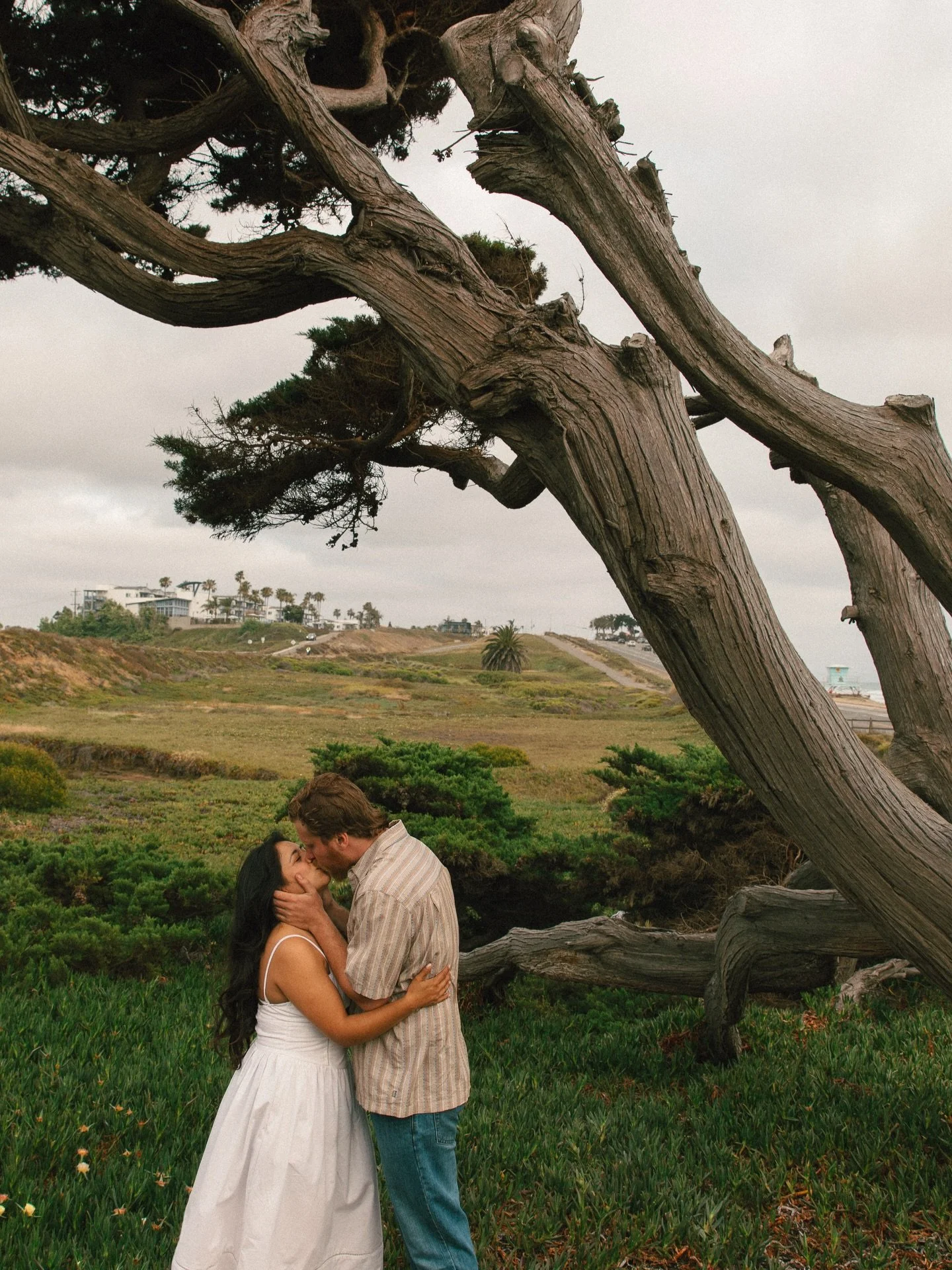 I love California, I love wind-warped trees, and I loved capturing these two in their element. No further explanation needed 𓆱

#socalphotographer #engagementphotographer #documentaryphotographer #carlsbadcalifornia #engagementsession