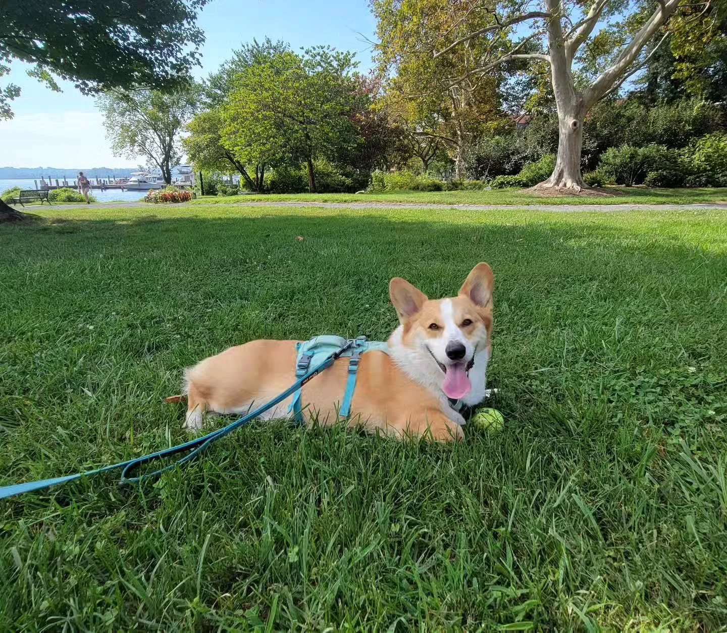 Mommy and baby day at the park!