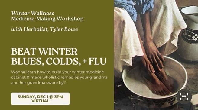 FOUR MORE DAYS until the Virtual Winter Wellness Workshop! we&rsquo;ll be talking all things immunity, gut health, mental wellness &mdash; making three different holistic remedies and going over recipes for so much more.

the material/ingredient list